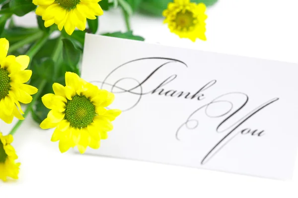 Жовта ромашка і підписана листівка дякую ізольовані на білому — стокове фото