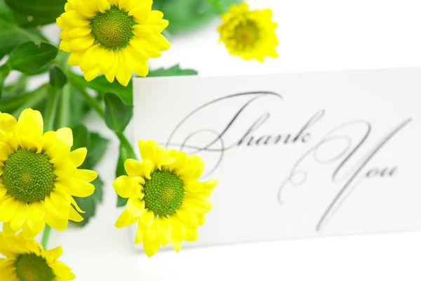 Žluté sedmikrásky a kartu podepsali Děkuji izolované na bílém — Stock fotografie