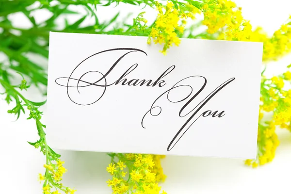 Sarı alan çiçek ve bir kart teşekkür ederim WHI izole imzaladı — Stok fotoğraf