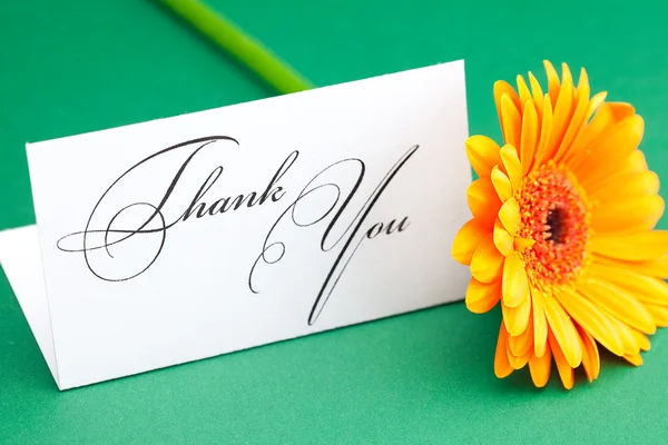 Gerbera and card signed thank you on green background — Stock Photo, Image