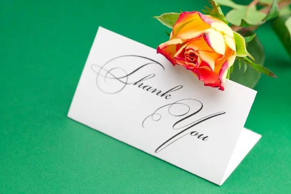 Rosa e cartão assinado obrigado no fundo verde — Fotografia de Stock