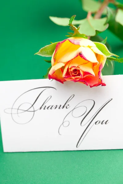 Rose and card signed thank you on green background — Stock Photo, Image