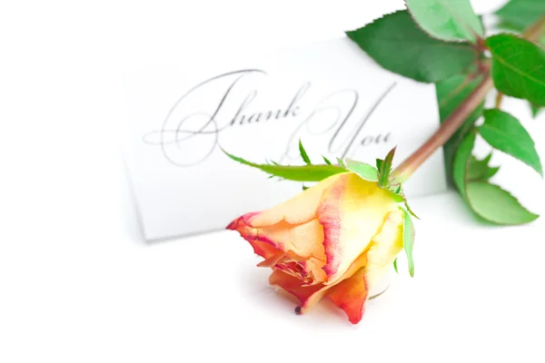 Gele rode roos en een kaart met de woorden dank u geïsoleerd op — Stockfoto