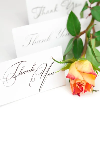 Żółte tulipany i kartę słowa dziękuję, na tle — Zdjęcie stockowe