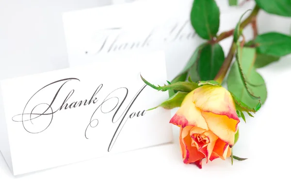Żółte tulipany i kartę słowa dziękuję, na tle — Zdjęcie stockowe