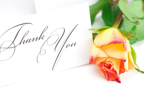 Желтая красная роза и карточка со словами благодарности — стоковое фото