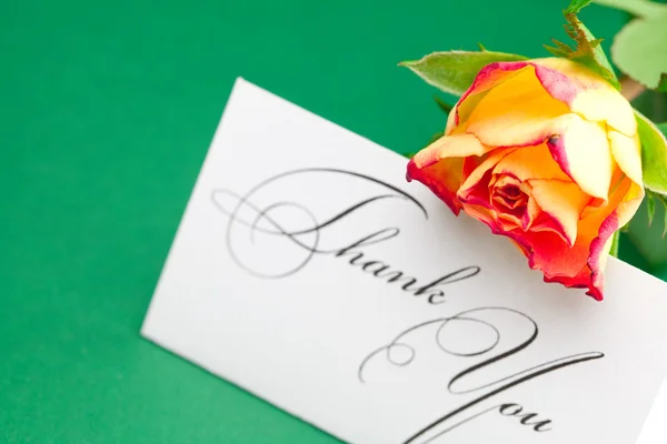 Róża i karta podpisane dziękuję na zielonym tle — Zdjęcie stockowe