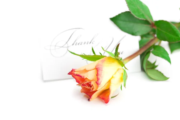 Gele rode roos en een kaart met de woorden dank u geïsoleerd op — Stockfoto