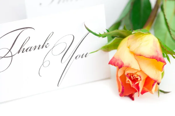 Sárga, vörös rózsa és egy kártya a szavakat köszönöm, elszigetelt — Stock Fotó