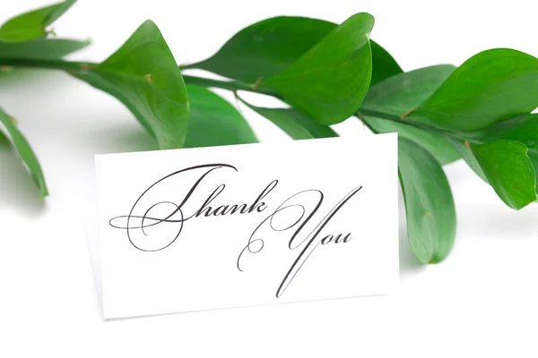 Branch with green leaves and a card signed thank you isolated on — Stock Photo, Image