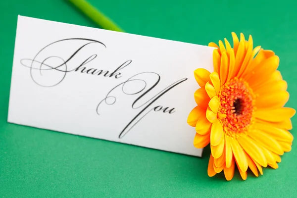 Gerbera and card signed thank you on green background — Stock Photo, Image