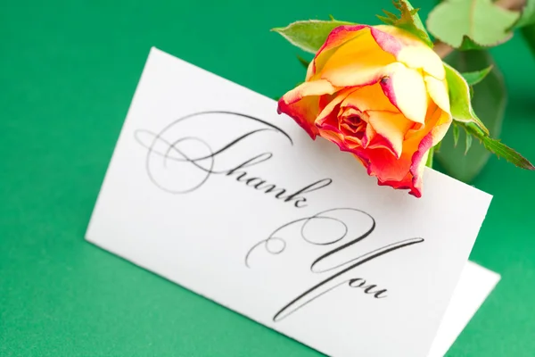 Rose and card signed thank you on green background — Stock Photo, Image