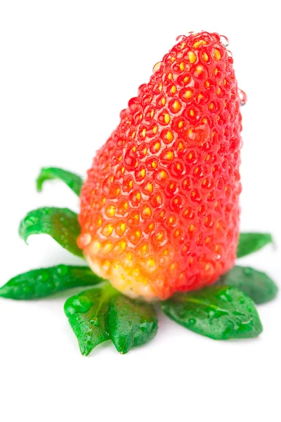 用水大汁多红色成熟的草莓滴上孤立的 whi — 图库照片