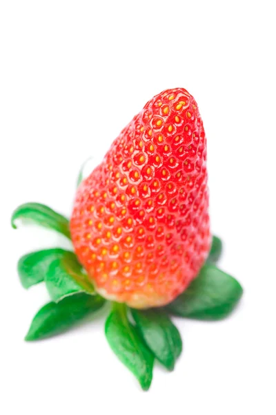 Grote sappige rode rijpe aardbeien op witte geïsoleerd — Stockfoto