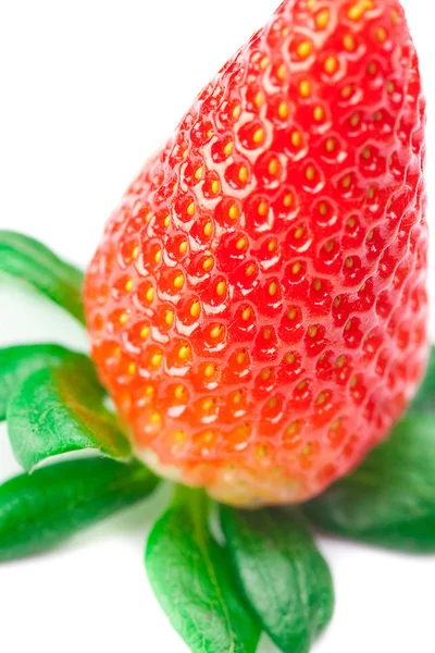 큰 육즙 빨간 잘 익은 딸기 흰색 절연 — 스톡 사진