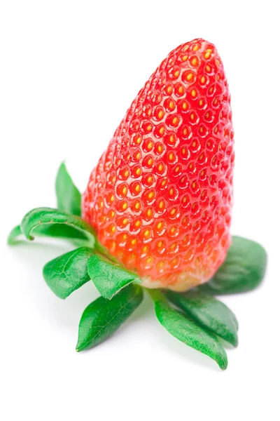 大汁多红色成熟的草莓上白色隔离 — 图库照片