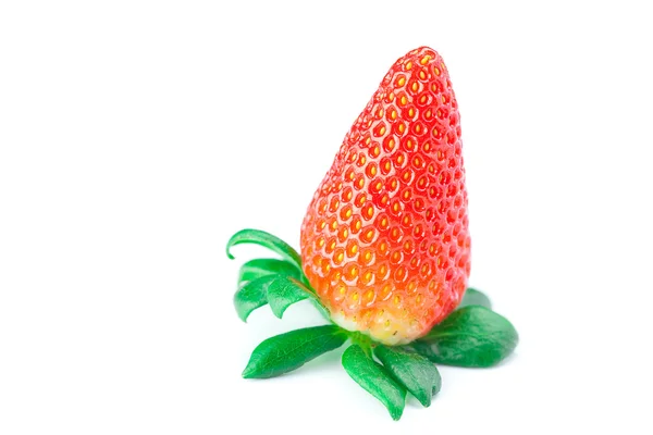 Grosses fraises mûres rouges juteuses isolées sur blanc — Photo