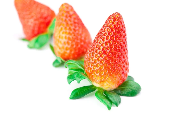 Velké šťavnaté červené zralé jahody izolovaných na bílém — Stock fotografie