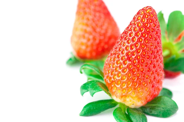 Grosses fraises mûres rouges juteuses isolées sur blanc — Photo