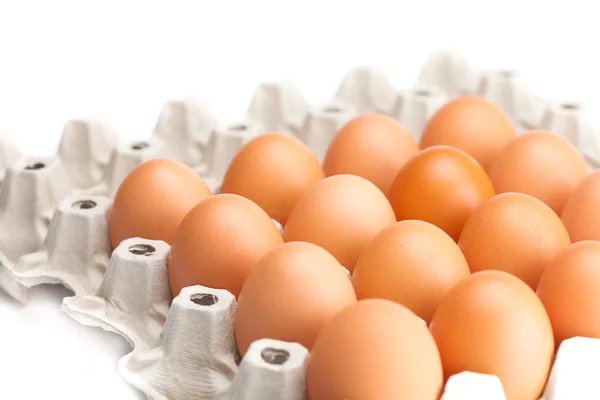 A csomag elszigetelt fehér tojás — Stock Fotó