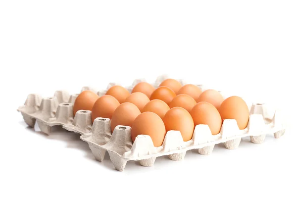 Huevos en el envase aislados sobre un blanco — Foto de Stock