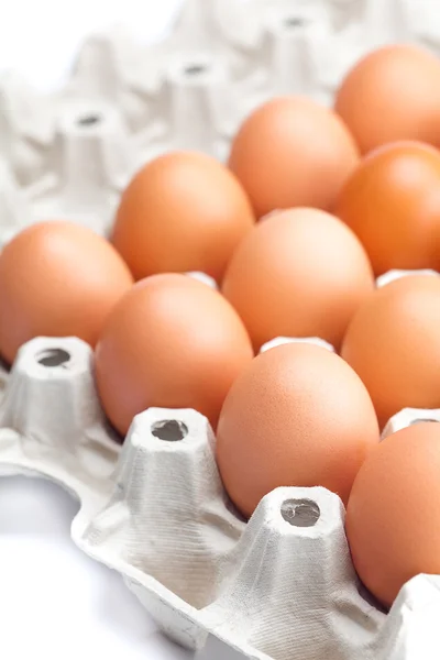 Ovos na embalagem isolados sobre um branco — Fotografia de Stock