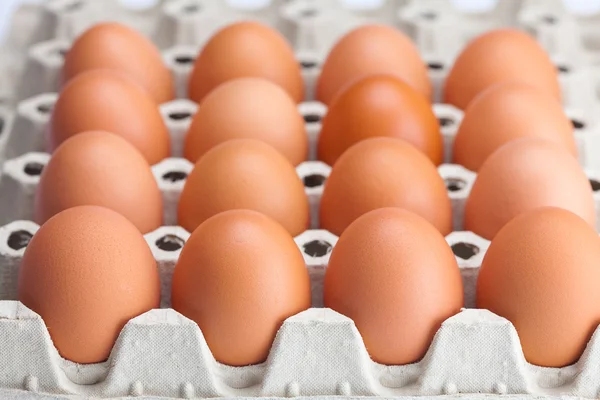 Αυγά στο πακέτο απομονωμένη σε ένα λευκό — Φωτογραφία Αρχείου