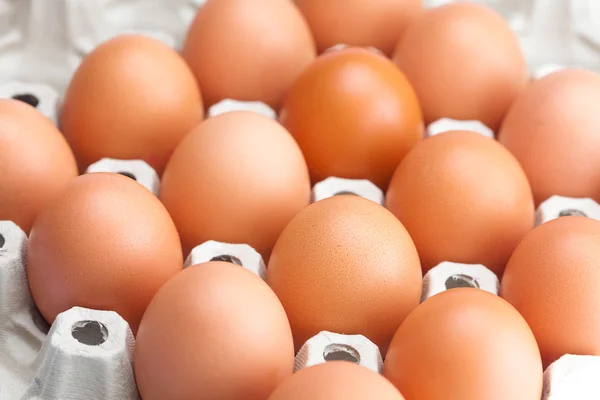 Яйця в упаковці ізольовані на білому — стокове фото