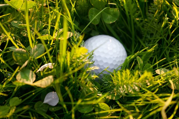 Fundo da primavera grama verde e bola de golfe — Fotografia de Stock