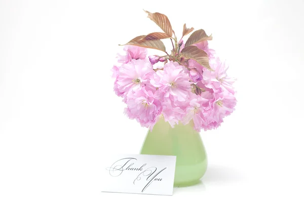 Sakura blomma i en vas och en kort undertecknat tack isolerad på — Stockfoto