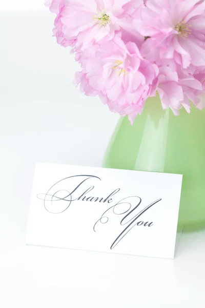 Sakura kwiatów w wazonie i kartę podpisał dziękuję na tle — Zdjęcie stockowe