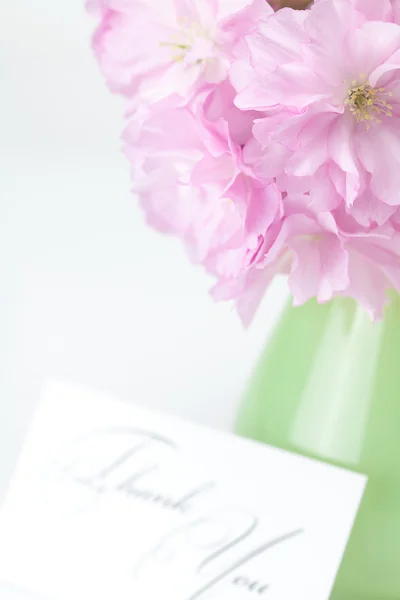 Sakura flower in a vase and a card signed thank you isolated on — Stock Photo, Image