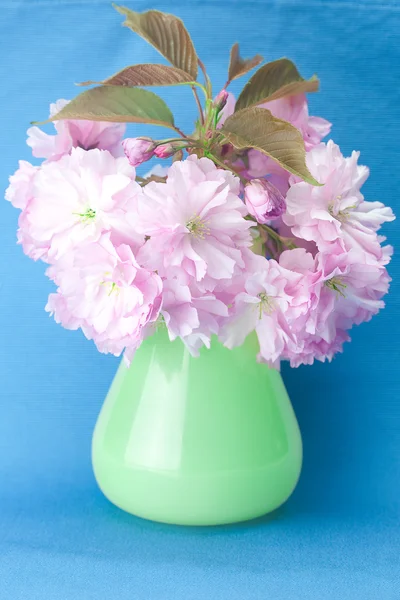 Sakura flower in a vase and a card signed thank you on a blue ba — Stock Photo, Image