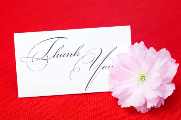 Sakura flower and a card signed thank you on a red background — Stock Photo, Image