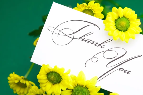 Yellow daisy and card signed thank you on green background Stock Picture