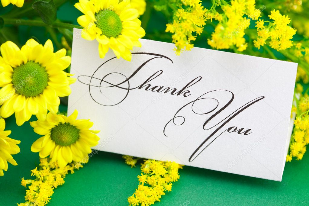 Yellow daisy and card signed thank you on green background