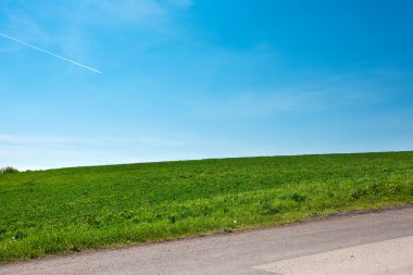 yol ve ağaçlar mavi gökyüzü ile bir çayır