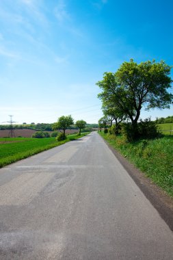 yol ve ağaçlar mavi gökyüzü ile bir çayır