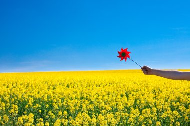 Hand with pinwheel in a field of yellow rape against the blue s clipart