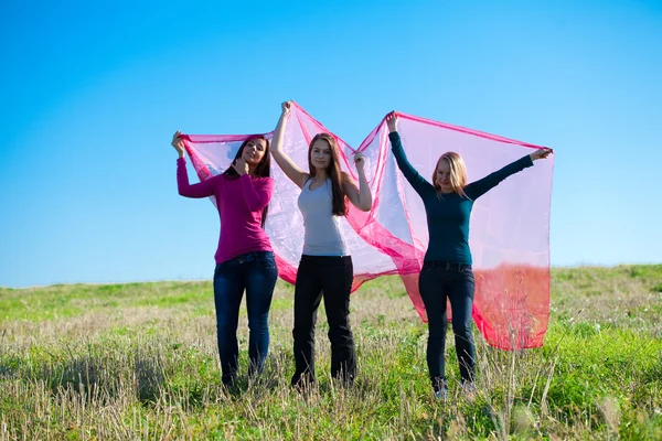 組織フィールドに立っている 3 つの若い美しい女性 — ストック写真