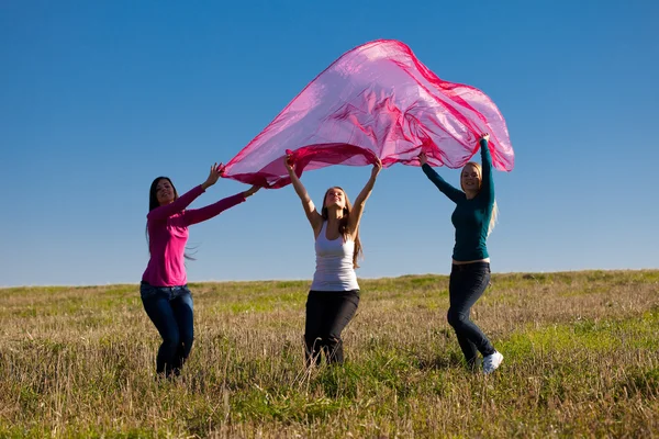Трое молодых красивых женщин прыгают с тканью в поле — стоковое фото