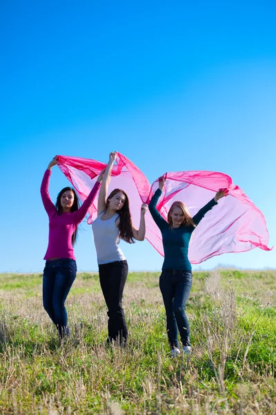 Tres mujeres hermosas jóvenes de pie con tejido en el campo — Foto de Stock