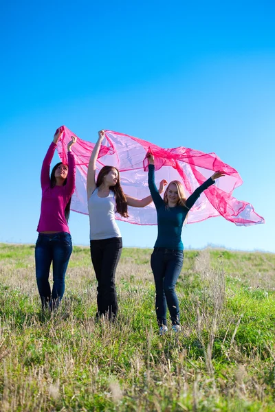 Три молодая красивая женщина, стоящая с тканями в поле — стоковое фото