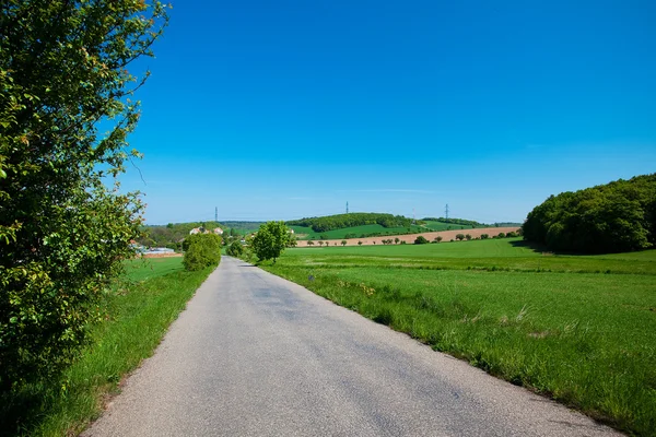 Camino y un prado con árboles contra el cielo azul —  Fotos de Stock