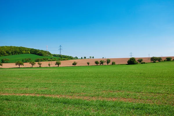 Padang rumput dan listrik garis melawan langit biru — Stok Foto
