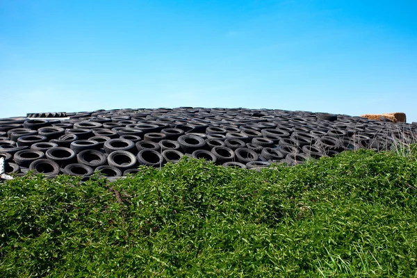 Tires and grass against the blue sky — Stock Photo, Image