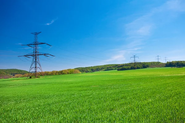 stock image Meadow and power line against the blue sky