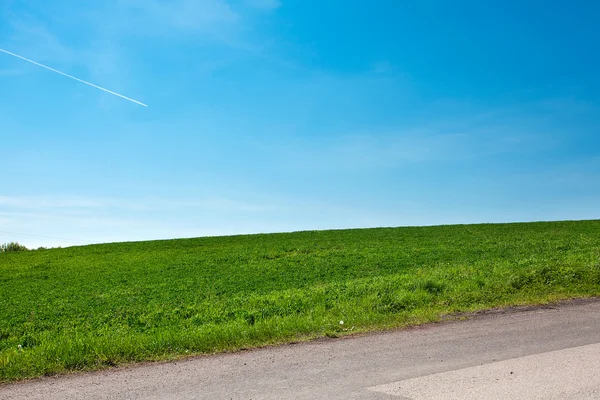 Yol ve ağaçlar mavi gökyüzü ile bir çayır — Stok fotoğraf