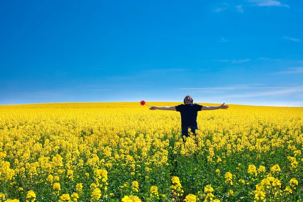 Человек с колесиком стоит на поле желтого изнасилования против — стоковое фото