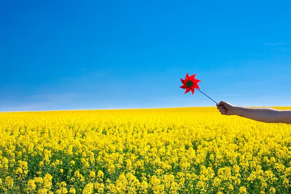 Мбаппе с булавами на поле желтых против синих — стоковое фото